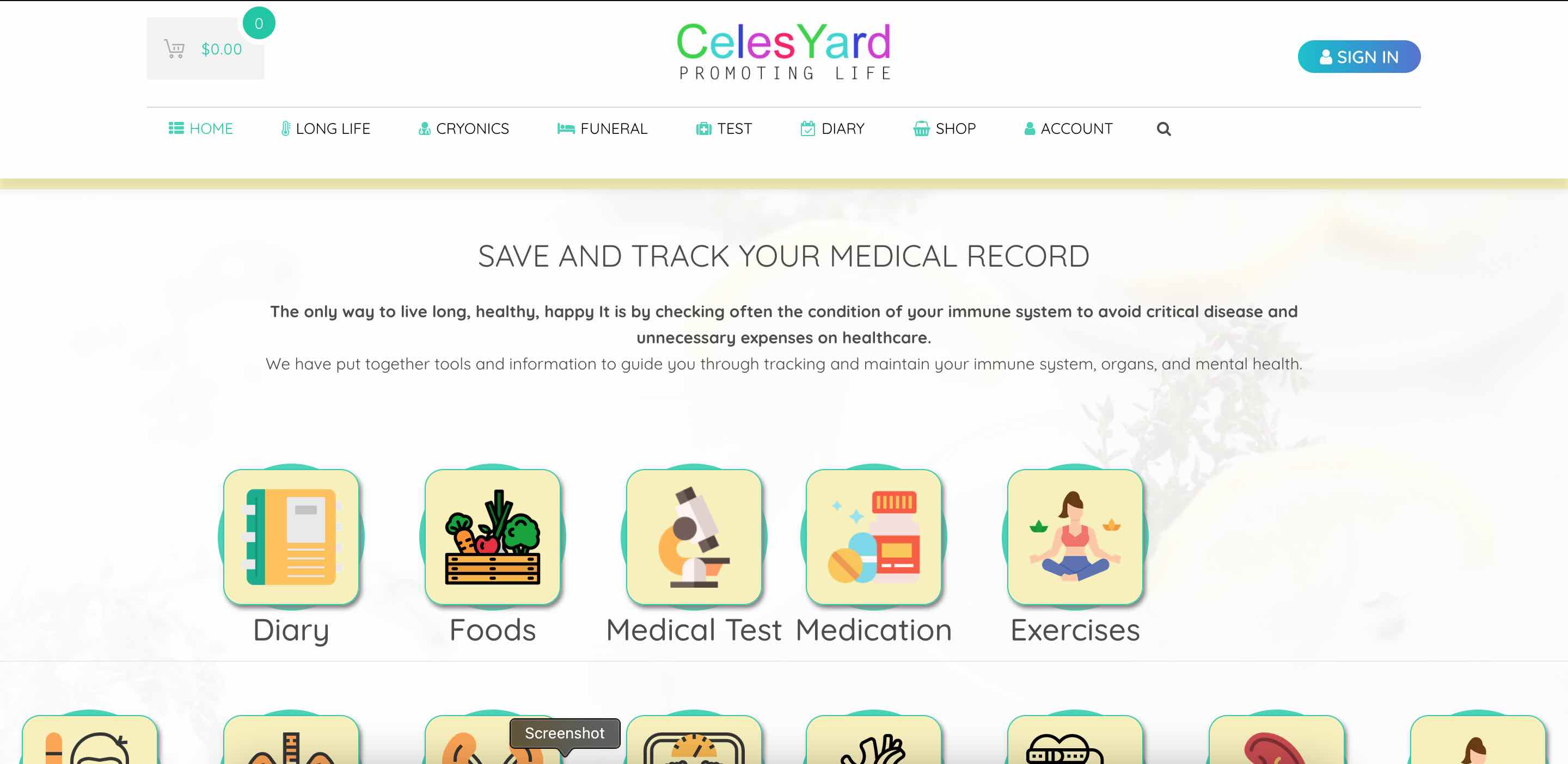 Celesyard